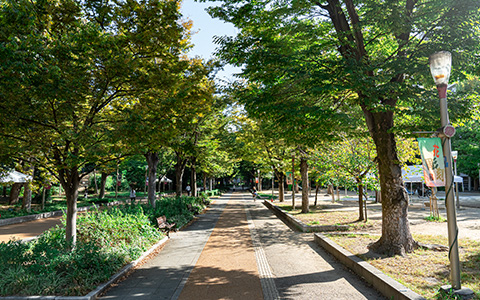 Whatever NAKANOSHIMA