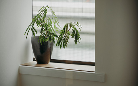 Whatever NAKANOSHIMA